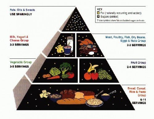 The United States Department of Agriculture's old food pyramid will be replaced. Michelle Obama and sevearl officals will unveil a new food icon Thursday, June 2, 2011 in an effort to