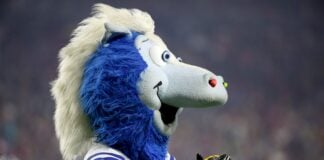 The Indianapolis Colts mascot during the NFL Pro Bowl Game on Sunday, January 25, 2015 in Glendale, AZ. Team Irvin won the game (AP Photo/Gregory Payan)