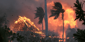 Maui mass evacuations wildfires