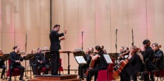 The Indianapolis Chamber Orchestra