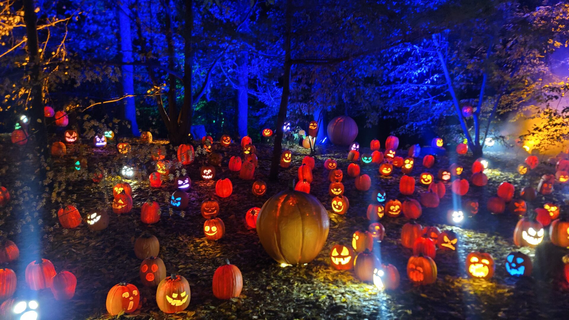 Harvest Nights at Newfields