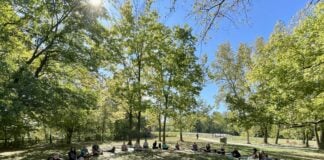 The Queer + Trans Community Yoga group meets from 10 a.m. to noon every Sunday at the 100 Acres Virginia Fairbanks Park. (Photo/Sarah Hutchison)