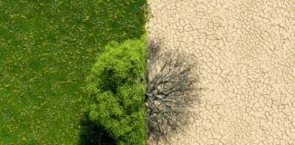 green landscape and desert landscape