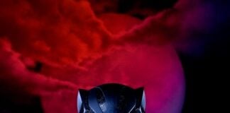 T’Challa’s Black Panther suit, from Ryan Coogler’s movie, and Carter herself wearing a replica of Radio Raheem’s knuckle ring.