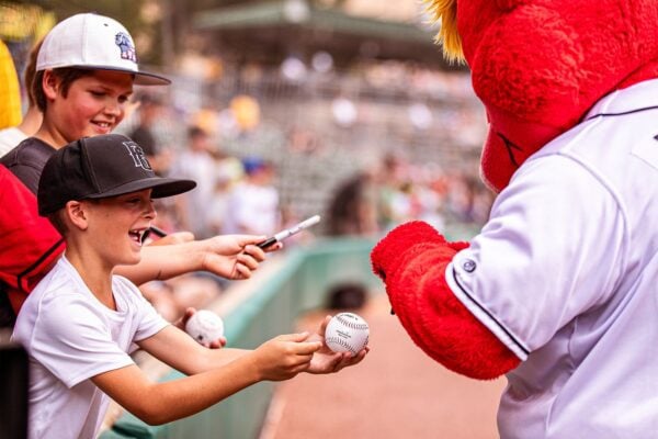 A young baseball fan high fiving a team mascot during a minor league baseball game.