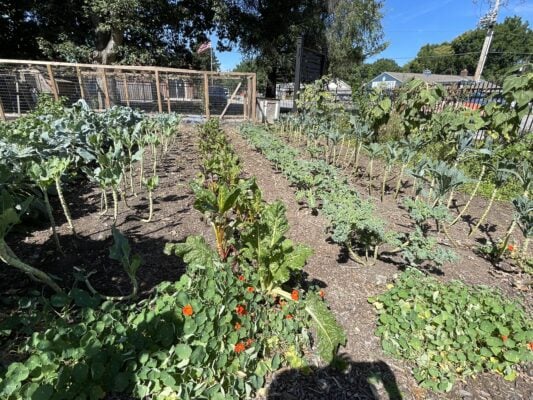 urban farm, A Longer Table