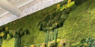BUTTER 5 living wall art. (Photo/Camike Jones)