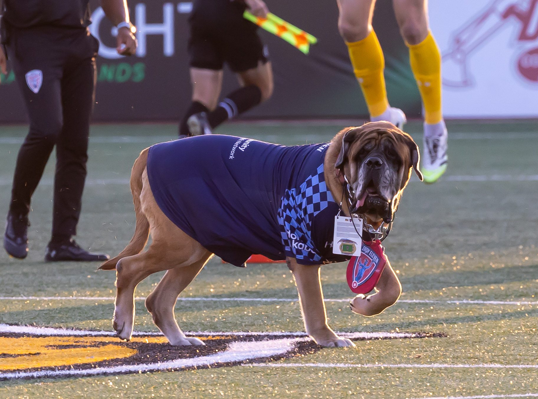 Indy Eleven FC Tulsa Soccer Match Indinapolis, Indiana.