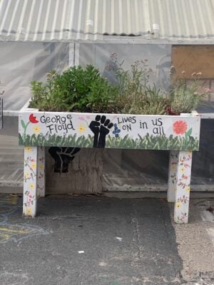 George Floyd memorial garden. (Photo/Maxine Bryant)
