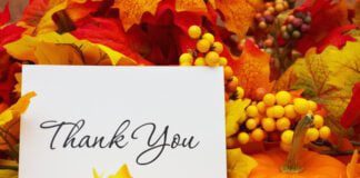 Thank you, autumn leaves