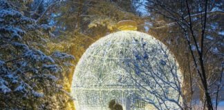 Winterlights returns to Newfields 2025 Winterlights.