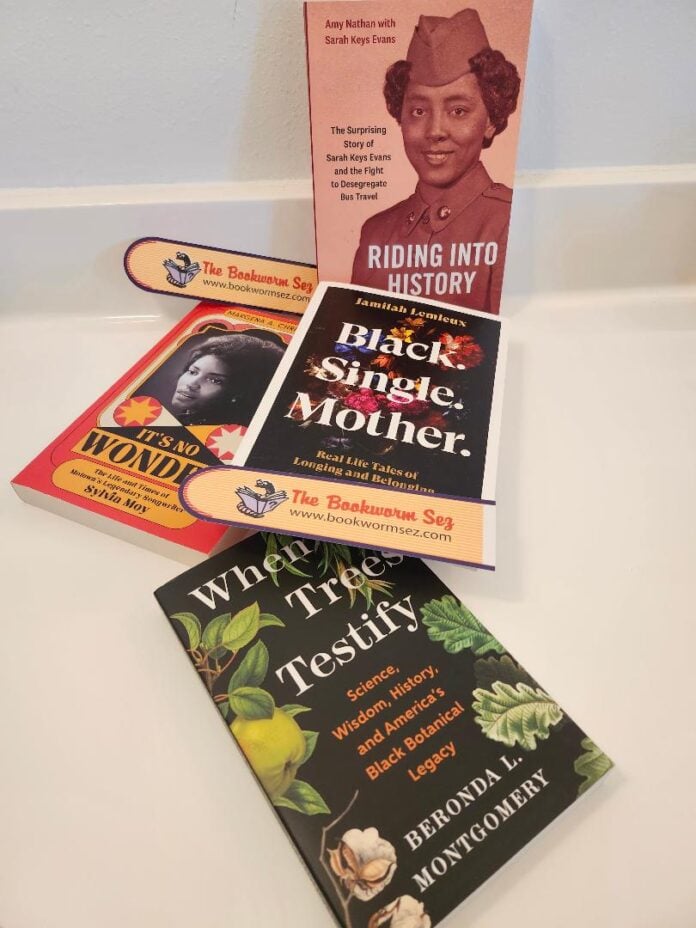 Books for Women's History Month for adults. (Photo/Terri Schlichenmeyer)